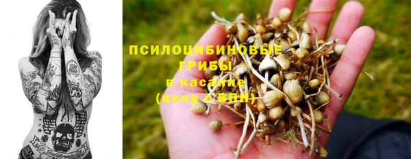 бутират Алексин