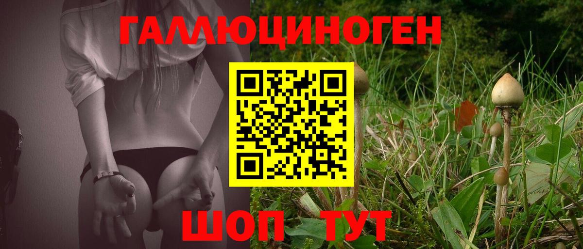 Галлюциногенные грибы Magic Shrooms  Вход с VPN  Калининград 
